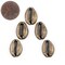 The Bead Chest Antiqued Brass Cowrie Shells (Set of 5): Metal Beads for DIY Crafts & Jewelry-Making Inspired by African Sea Shells